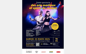 Le festival des Arts Martiaux Annéciens 