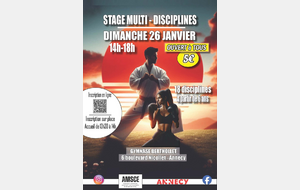 26 JANVIER : STAGE MULDISCIPLINE